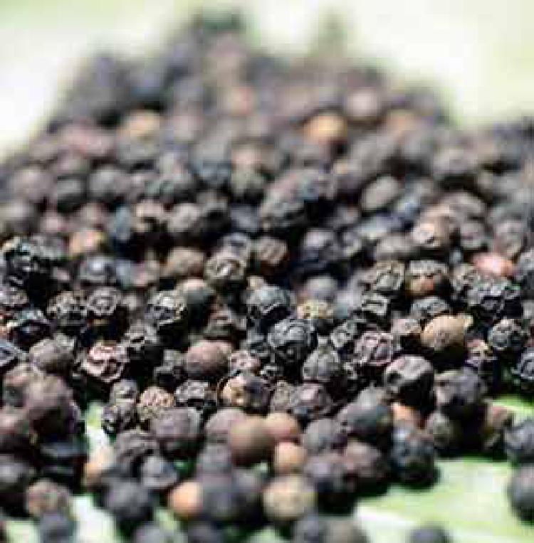 Piperul negru - un remediu pentru vitiligo ?