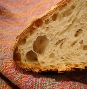 vitiligo gluten vitiligo gluten