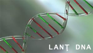 DNA vitiligo